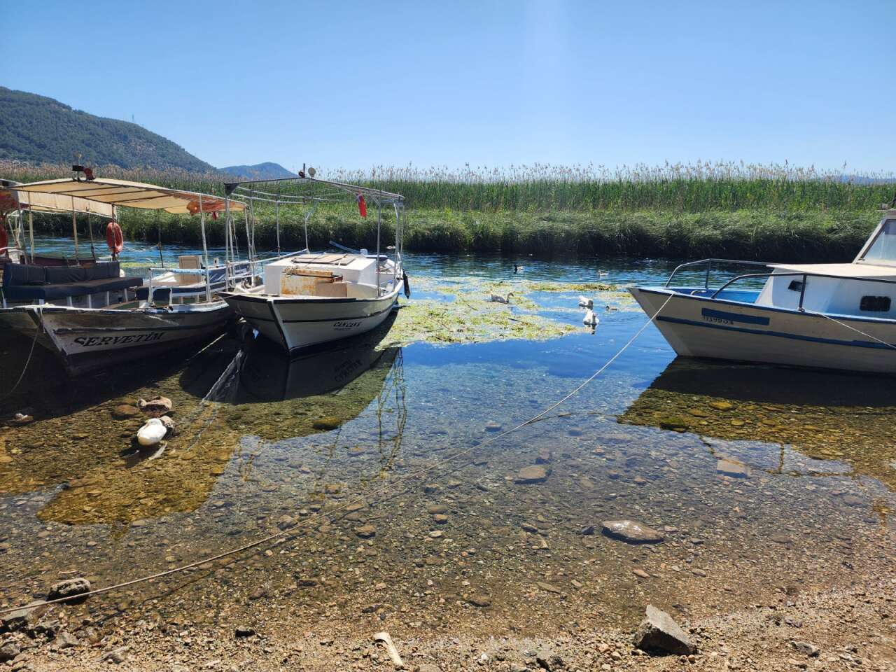 Sakin Kent Akyaka'nın Yanında Yatırım Fırsatı: Ula’da 7 Taşınmaz Satışta 2